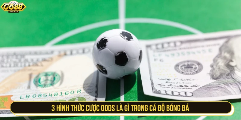 3 hình thức cược odds là gì trong cá độ bóng đá