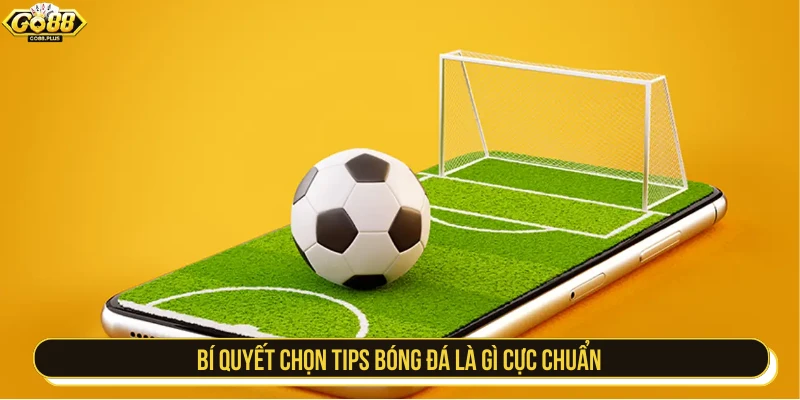 Bí quyết chọn tips bóng đá là gì cực chuẩn