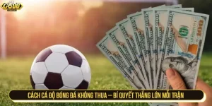 cách cá độ bóng đá không thua