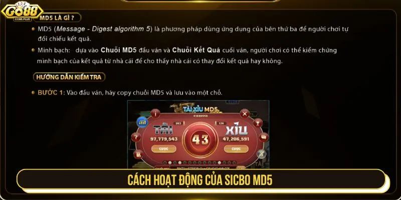 Cách hoạt động của sicbo MD5