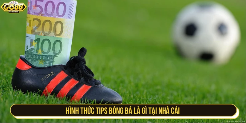 Hình thức tips bóng đá là gì tại nhà cái