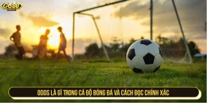 odds là gì trong cá độ bóng đá