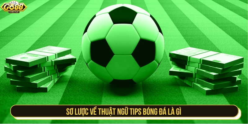 Sơ lược về thuật ngữ tips bóng đá là gì