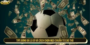 Tips bóng đá là gì